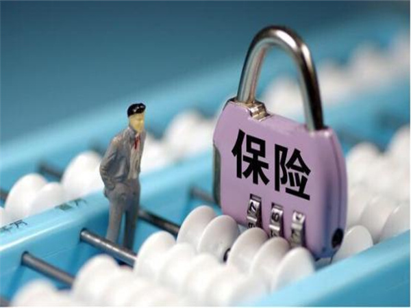 保 险5.jpg