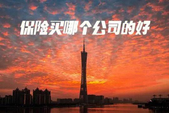 如何选择保险公司？