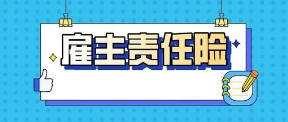 雇主责任险不负责赔偿的项目