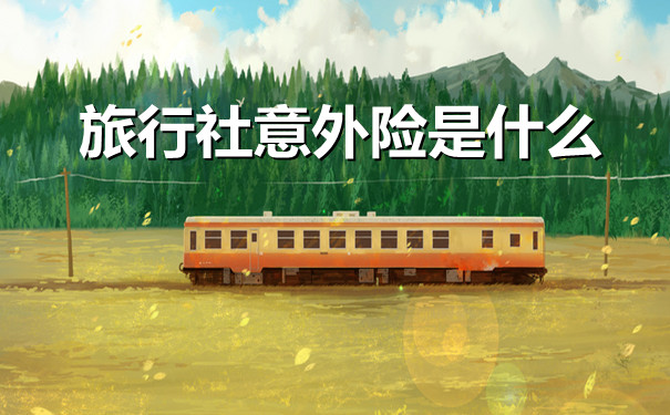 团队旅游意外险