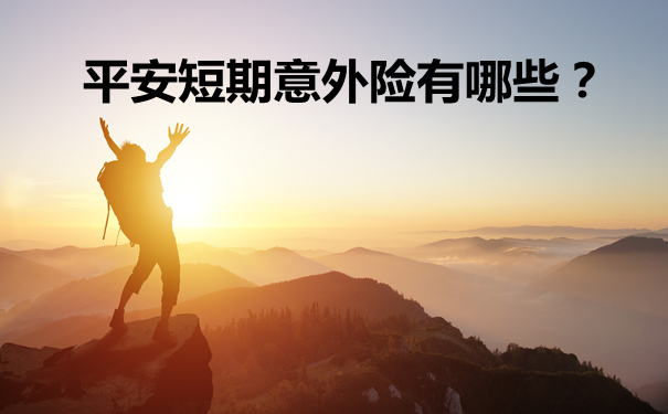 团体综合短期意外险