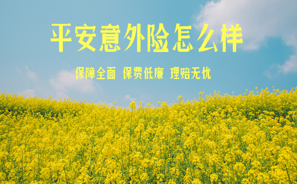 平安团体意外险