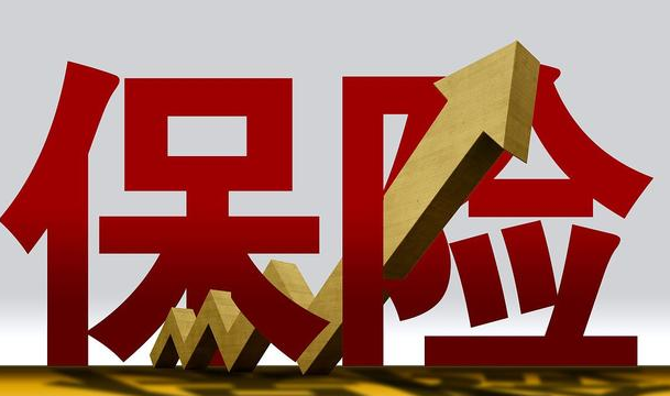 物流责任险的主要险种有？物流责任险的特点是？