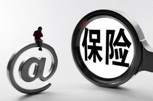 组织责任险购买指南与条款详解